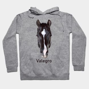 Valegro Face Marking with Name Hoodie